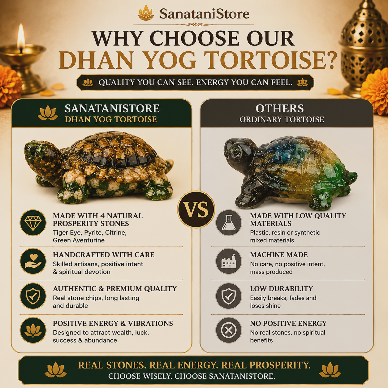 Dhan Yog Tortoise