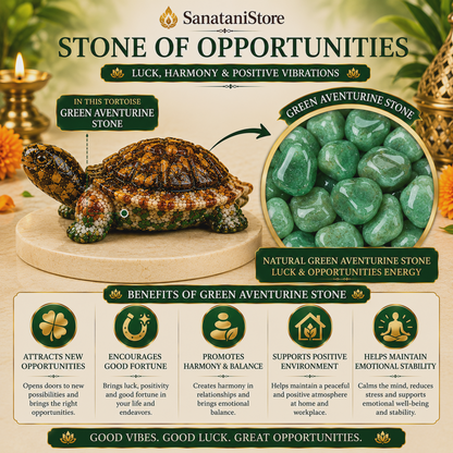 Dhan Yog Tortoise