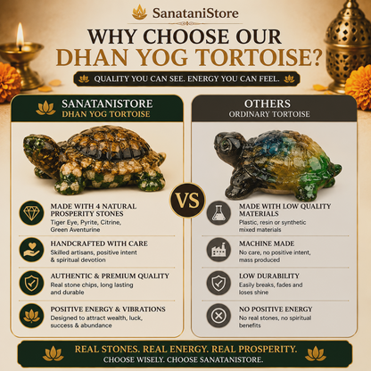 Dhan Yog Tortoise