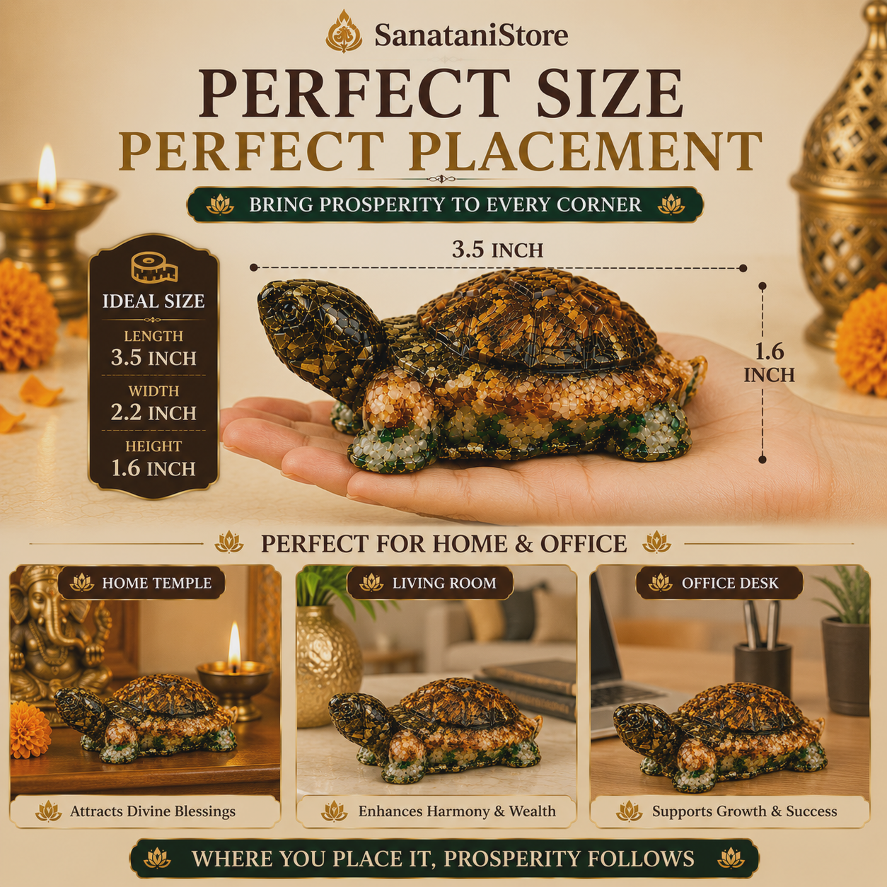 Dhan Yog Tortoise