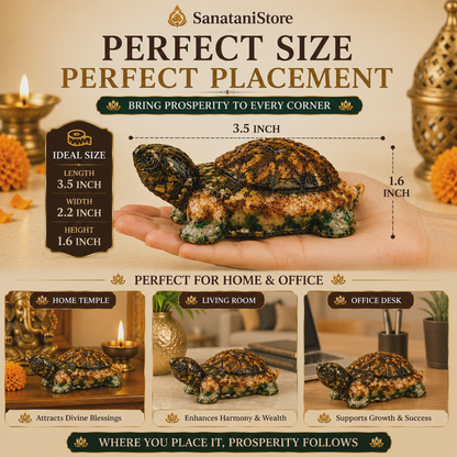 Dhan Yog Tortoise