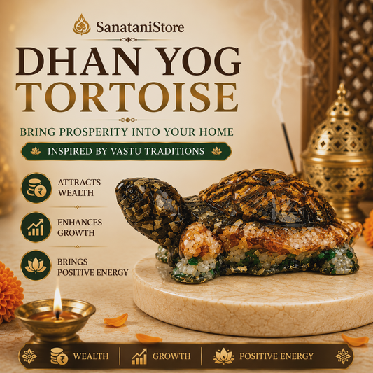 Dhan Yog Tortoise