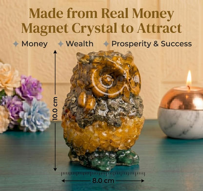 Money Magnet Owl