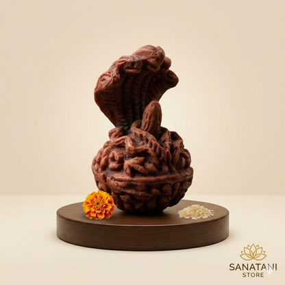 Panchmukhi Naag Devta Rudraksha Shivling – Handcrafted Divine Idol
