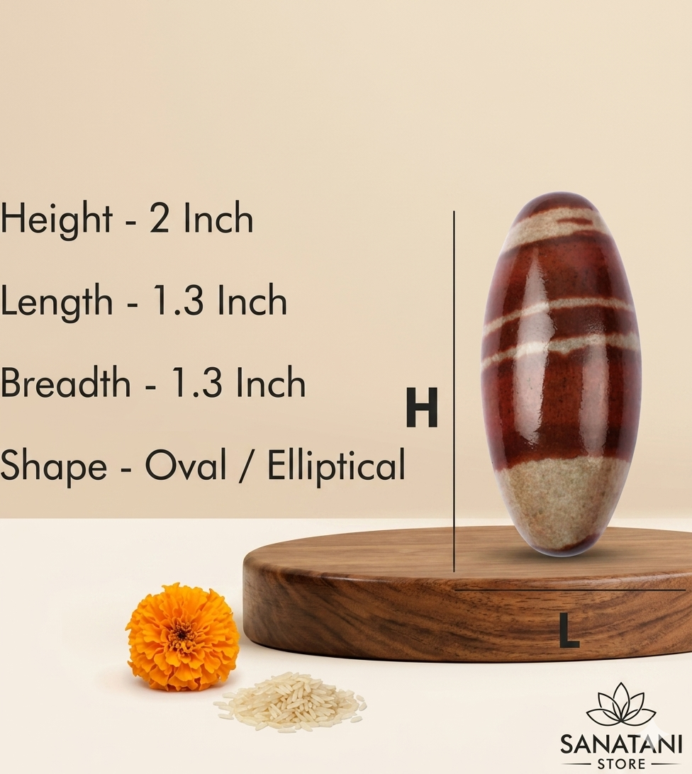 Narmadeshwar Shivling with Brass Jalhari Base, Trishul & Jal Abhishek Kalas