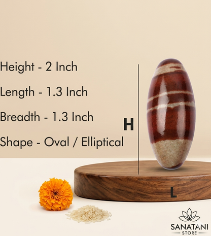 Narmadeshwar Shivling with Brass Jalhari Base, Trishul & Jal Abhishek Kalas